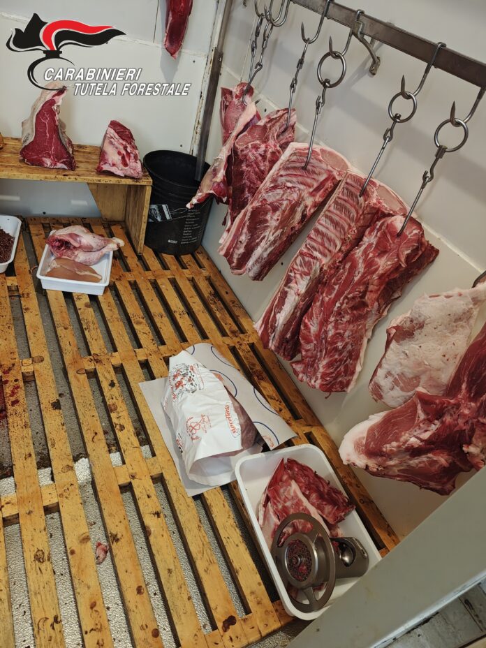 IMG_20251111_124658797_HDR