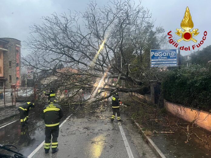 WhatsApp Image 2025-11-26 at 06.54.49