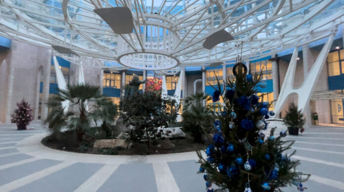 Alberi Natale piazza Città ospedaliera