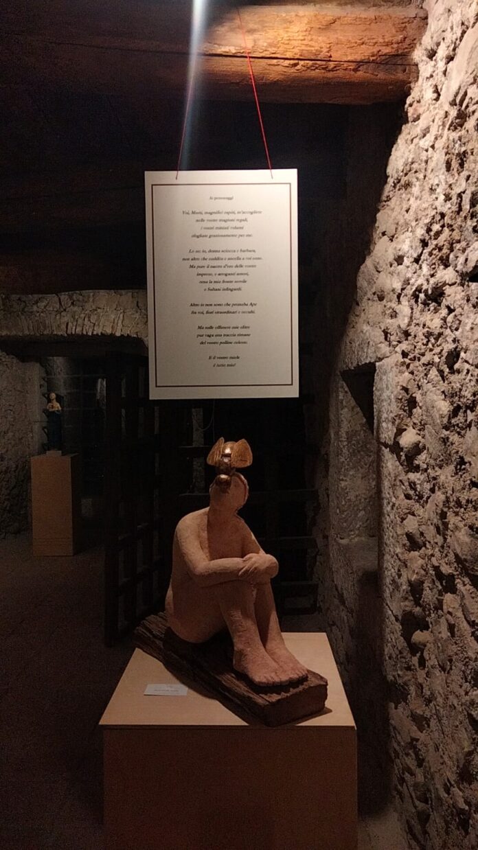 Foto Installazione Mostra