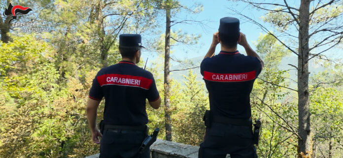 Carabinieri forestale